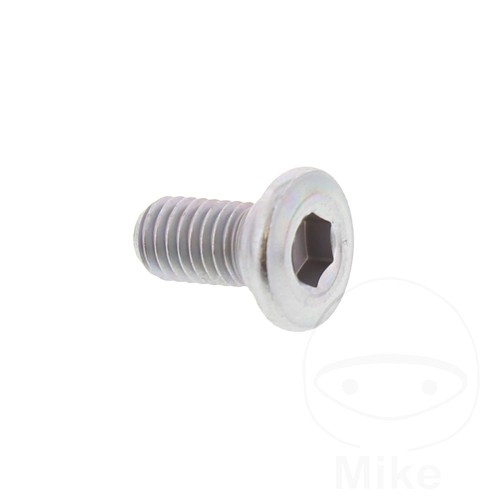 Original brake disc bolt - bolt, m8
