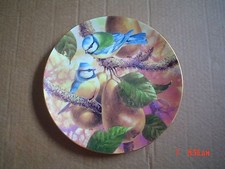 Wedgwood Compton And Woodhouse