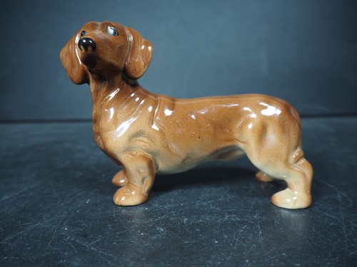 Dachshund sausage dog - dachshund,