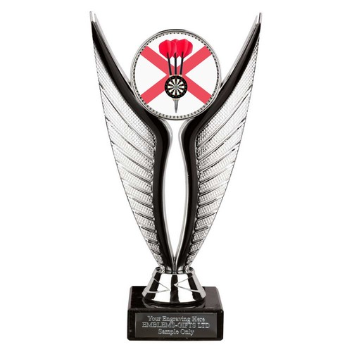 Northern ireland darts award - ireland,