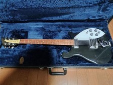 Rickenbacker 610 Safe Packing!