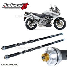 Suzuki DL 1000 V-Strom