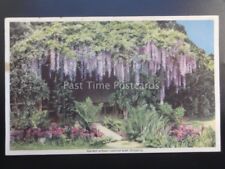GARDEN ARBOUR WITH WISTARIA Colour Scheme With Garden Flowers - Old Postcard