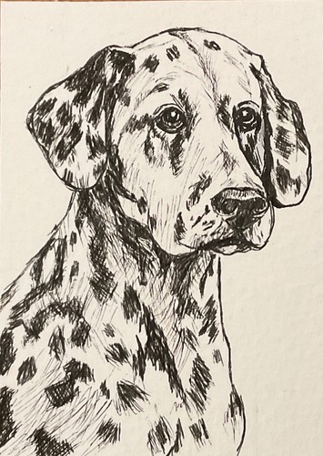 Aceo pen and - ink, drawing
