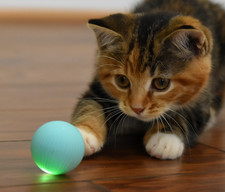 Neat Ideas Catch Me Cat Ball