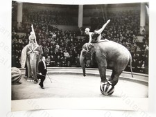 Moscow Circus Elephants