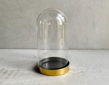 GLASS DOME | Gold Coated Metal