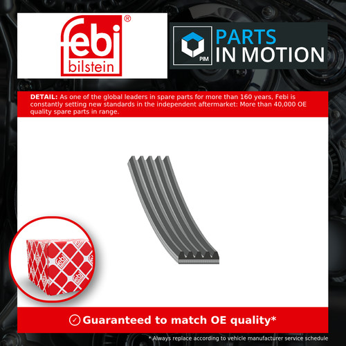 Rib multi drive - rib, fits