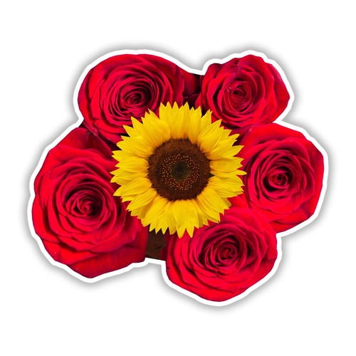 Red rose beautiful full color - red,