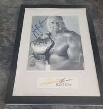 HULK HOGAN AMERICAN WRESTLER