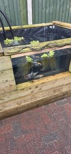 Sleeper Koi Pond With Window