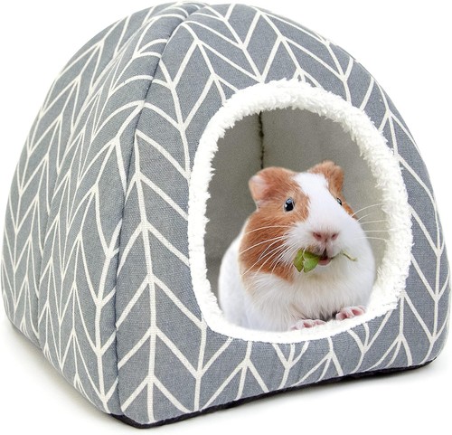 Guinea pig hideout bed dwarf - guinea,
