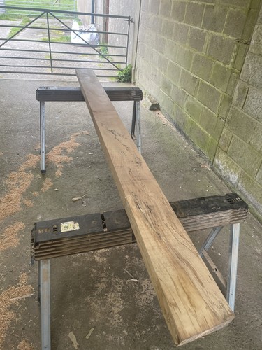 English beech hardwood length - beech,