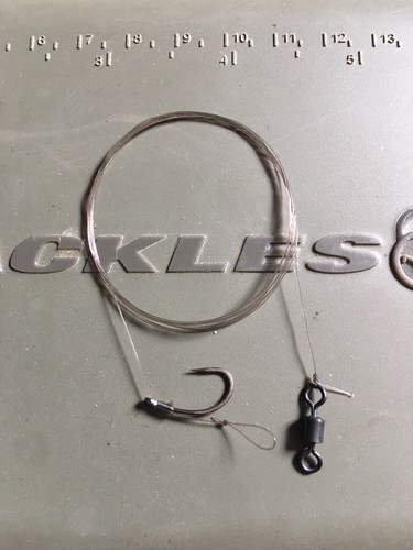 Carp fishing tackle zig - x,