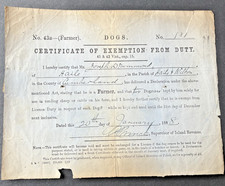 1888 -DOG LICENCE -