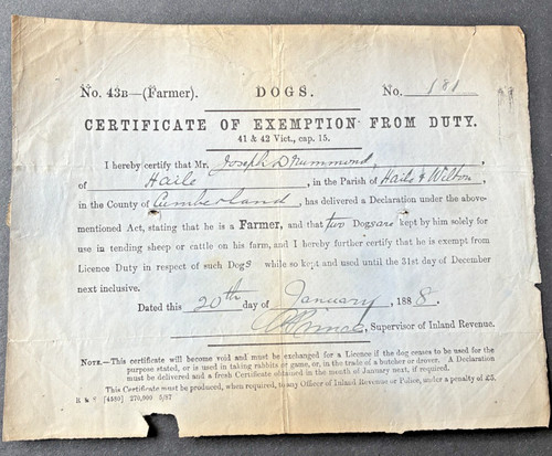 1888 dog licence - 1888,