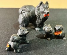 Cute Puppies family pomeranian