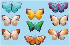 Butterflies Decals Car