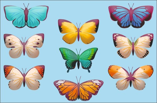 Butterflies decals car - butterflies,