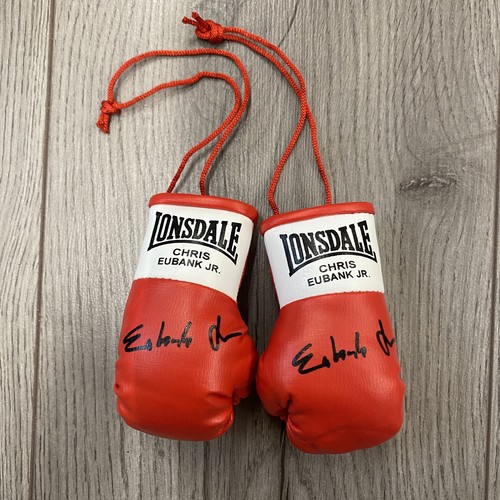 Chris eubank mini boxing - eubank,