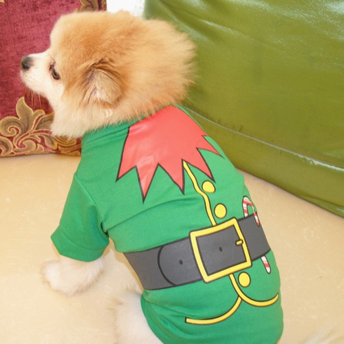 Dog costume christmas outfits - dog,