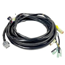 Main Wiring Harness