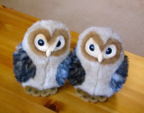 Pair gorgeous stuffed owl - a,