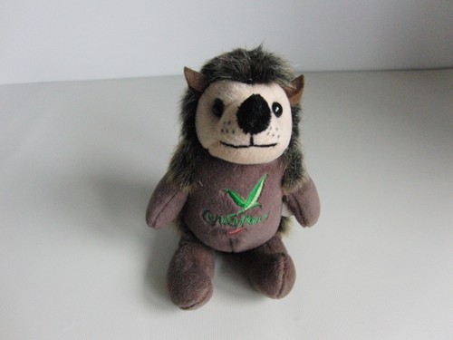 Center parcs hedgehog - center,