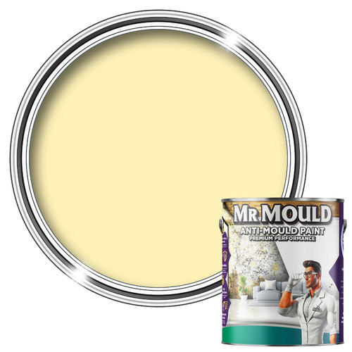 Anti mould wall - anti, paint