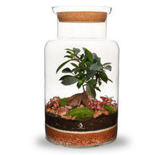 Artisan range diy bonsai - range,