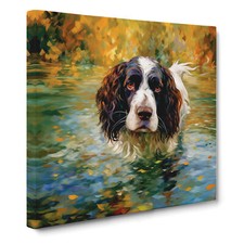 English Springer Spaniel
