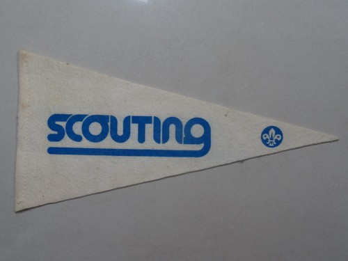Scouting pennant - scouting,