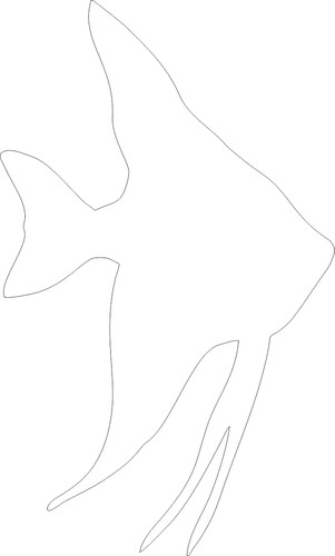 Angel tropical fish vinyl - tropical,