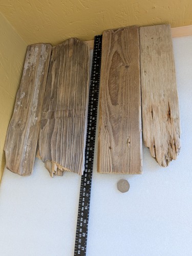 Flat shaped driftwood - ,