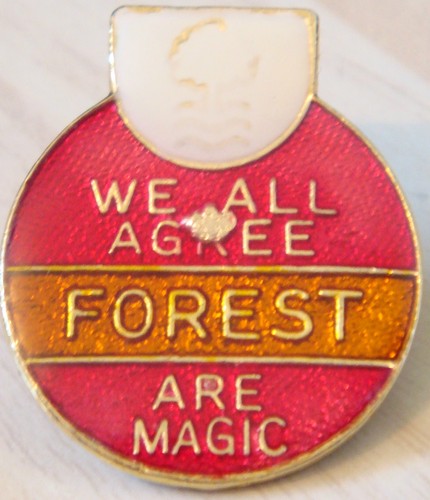 Nottingham forest vintage - nottingham,