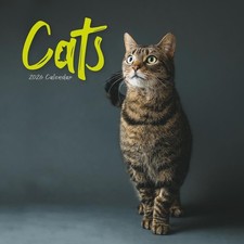 Cats 2026 Wire-o Wall Calendar NEW
