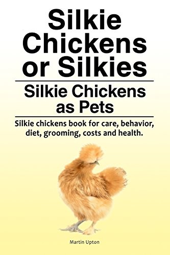 Silkie chickens silkies - silkie, or