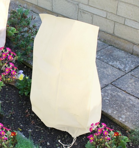 Fleece bags jackets - fleece, plant