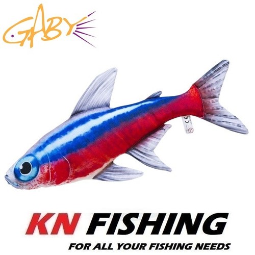 Gaby neon tetra - gift, fish