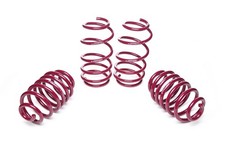 Vogtland Lowering Springs for
