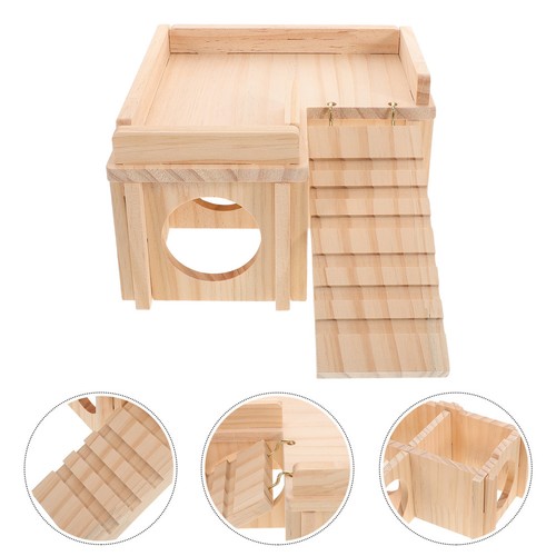 Bearded dragon ramp reptile - dragon,