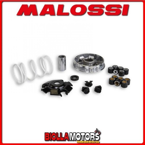 5111258 variator malossi - 5111258,