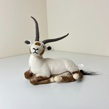Bambino  Antelope horned Oryx