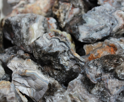 Tuxedo lace agate rough - tuxedo,
