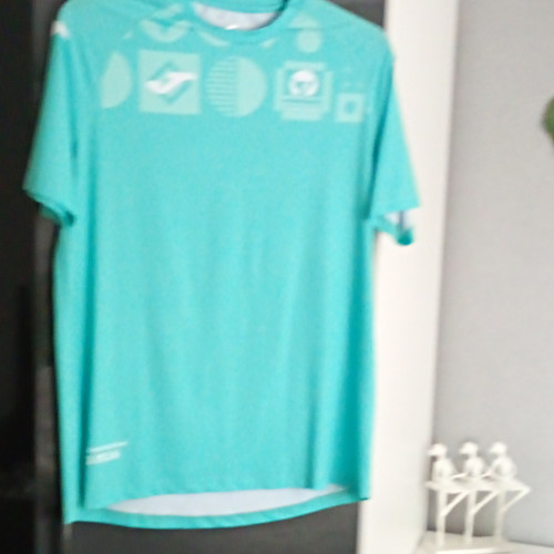 Salomon men running shirt - salomon, t-shirt