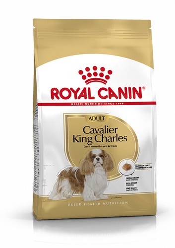 Royal canin cavalier king - cavalier,