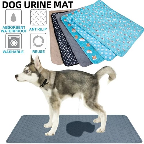 Large washable pet pee - washable,