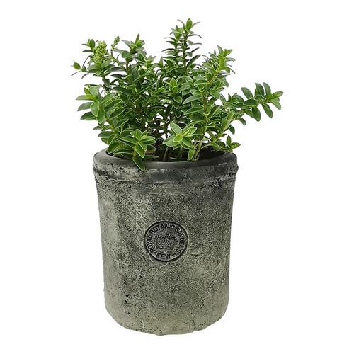 Kew gardens pot - kew, grey