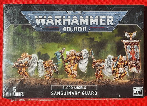 Blood angels space marine - angels,