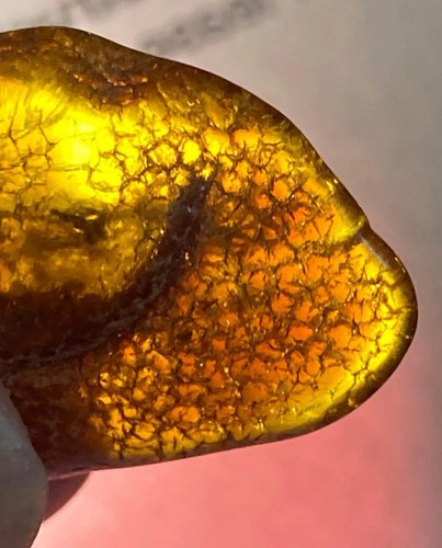 Baltic sea amber natural - baltic,